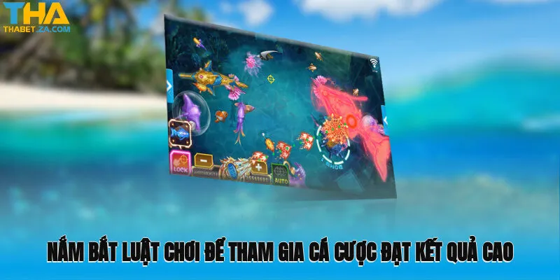 Nắm bắt luật chơi để tham gia cá cược đạt kết quả cao